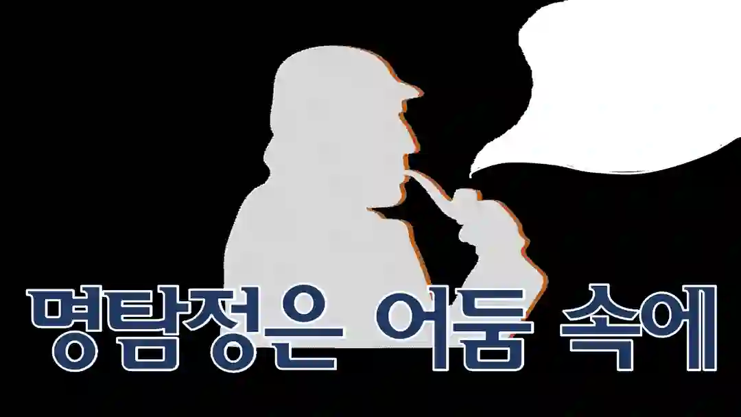 명탐정은 어둠 속에 포스터